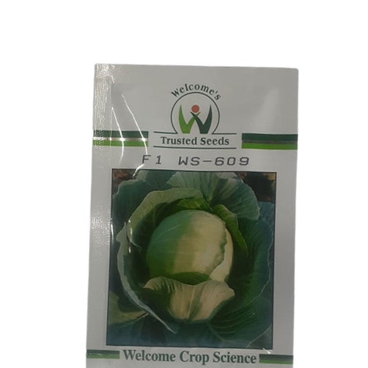 WS-609 Cabbage Seeds | Buy Online At Best Price